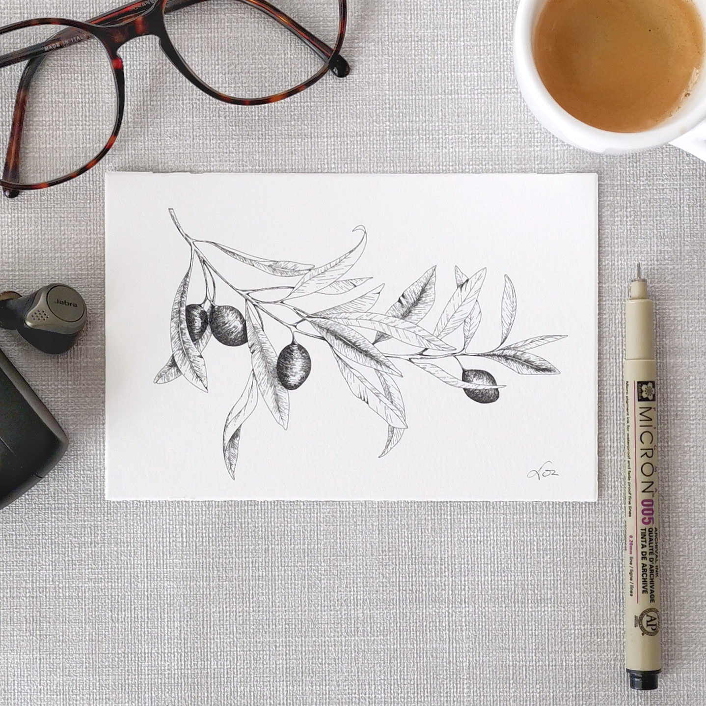 Botanische Illustration